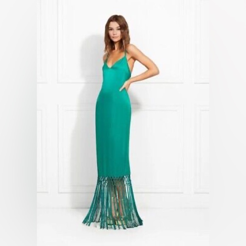 NWT Rachel Zoe Basil Fringe Dress